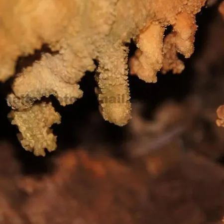 Giannakis' Filoxenia 度假居 Filótion