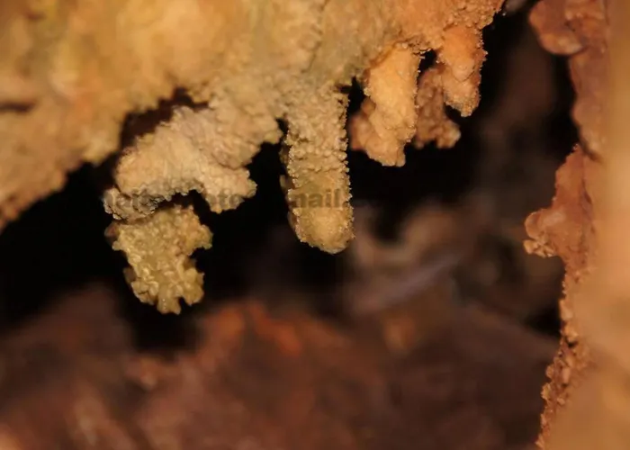 Giannakis' Filoxenia Semesterbostad Filótion