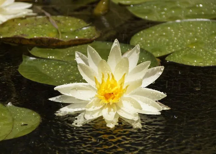 Semesterbostad Giannakis' Filoxenia Filótion