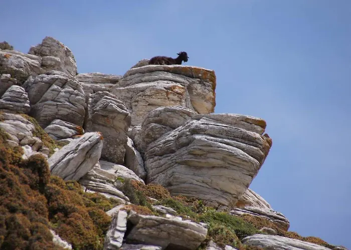 Giannakis' Filoxenia Semesterbostad